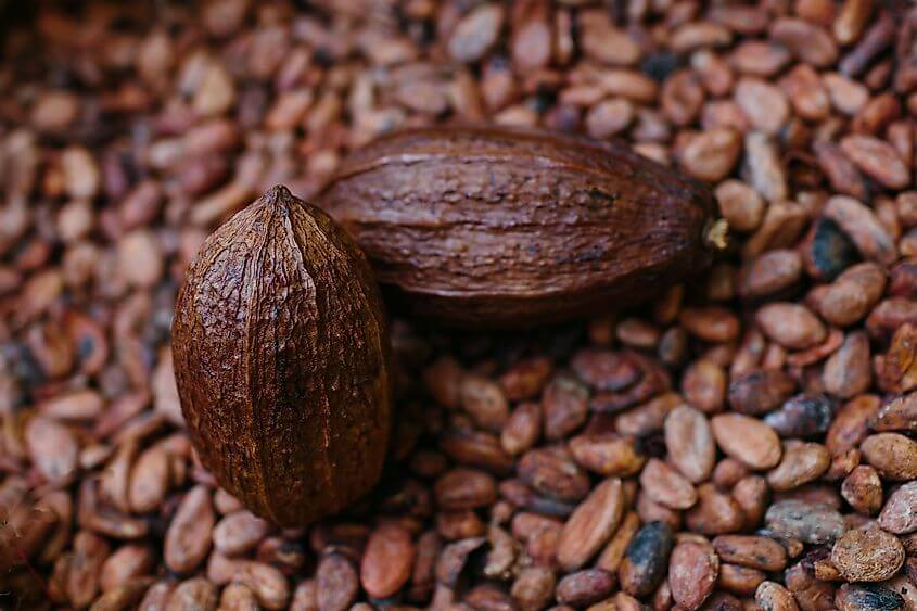 cocoa18