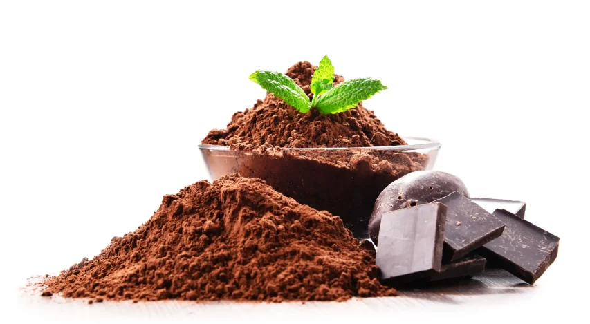 Cocoa Powder Exporter from Indonesia
