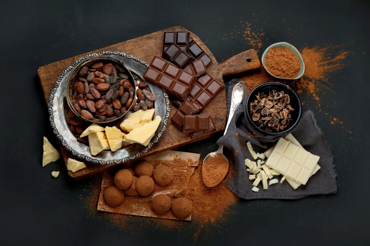 Cocoa Ingredient Supplier