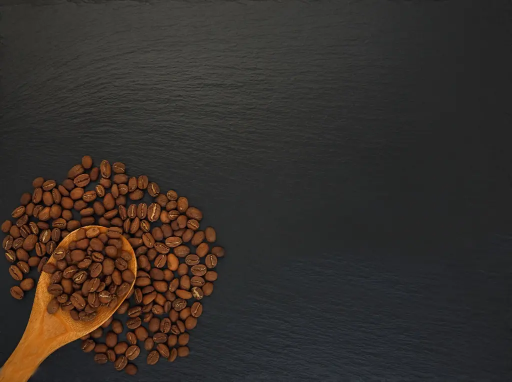 Cocoa Powder Distributor