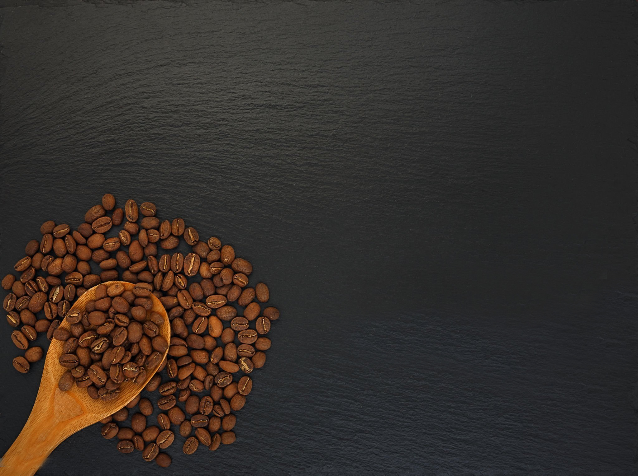 Cocoa Powder Supplier