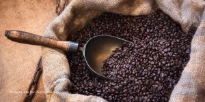 Cocoa and Coffee Industry