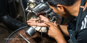 PT. Mulya Cocoa Indonesia in AAM’s Production Chain as a Cocoa Processor