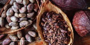 Cocoa Powder Natural vs Alkalized