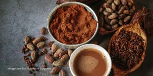 High-Quality Cocoa Production