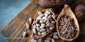 Trusted Cocoa Processor in Indonesia