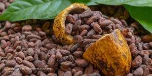 National Cocoa Industry
