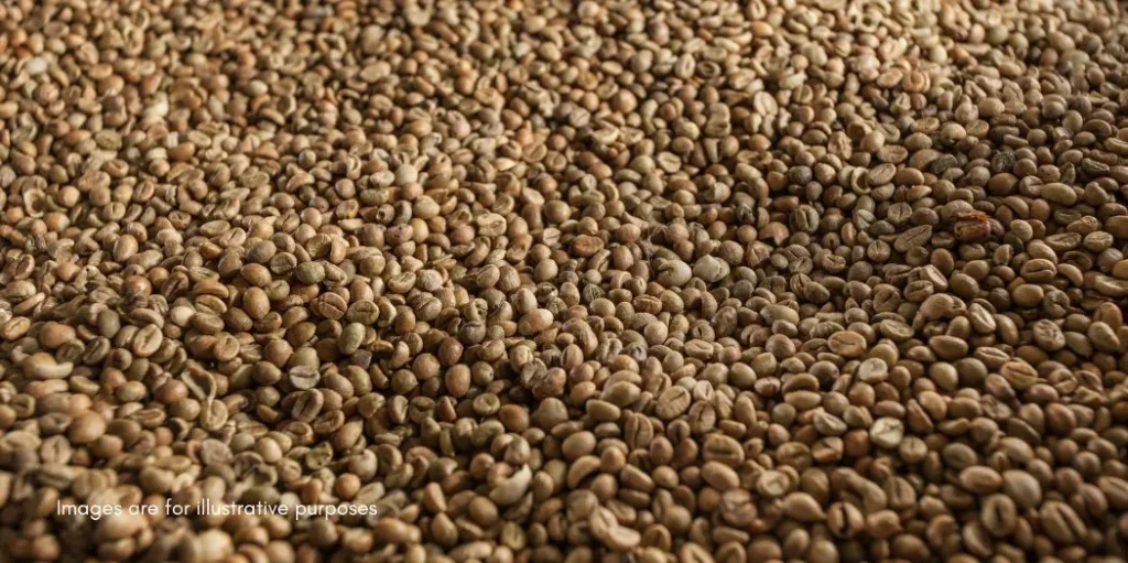 Cocoa Processor and Coffee Beans Company in Indonesia