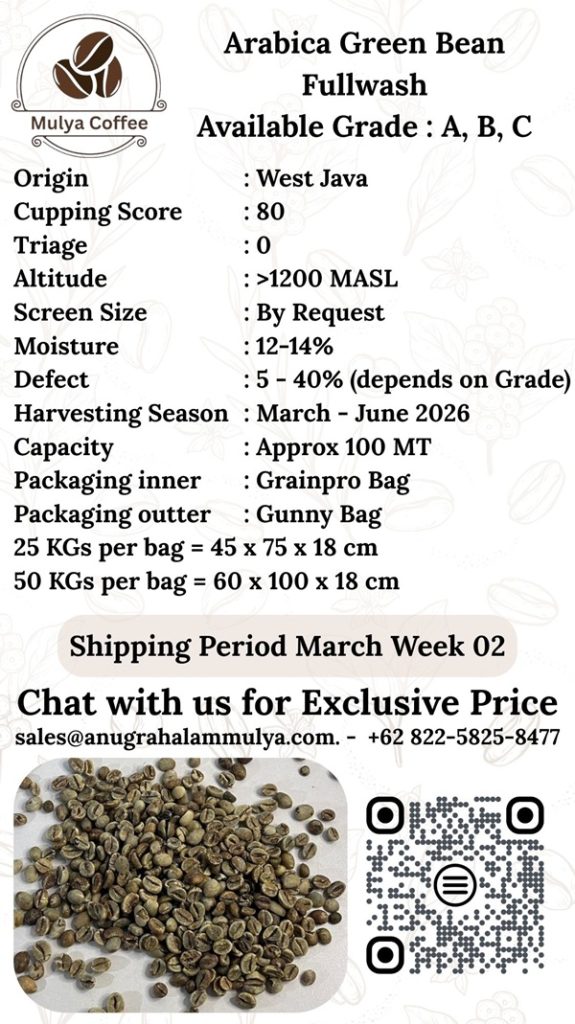 Arabica Green Bean - Anugrah Alam Mulya