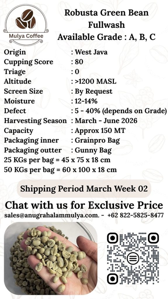 Robusta Green Bean - Anugrah Alam Mulya