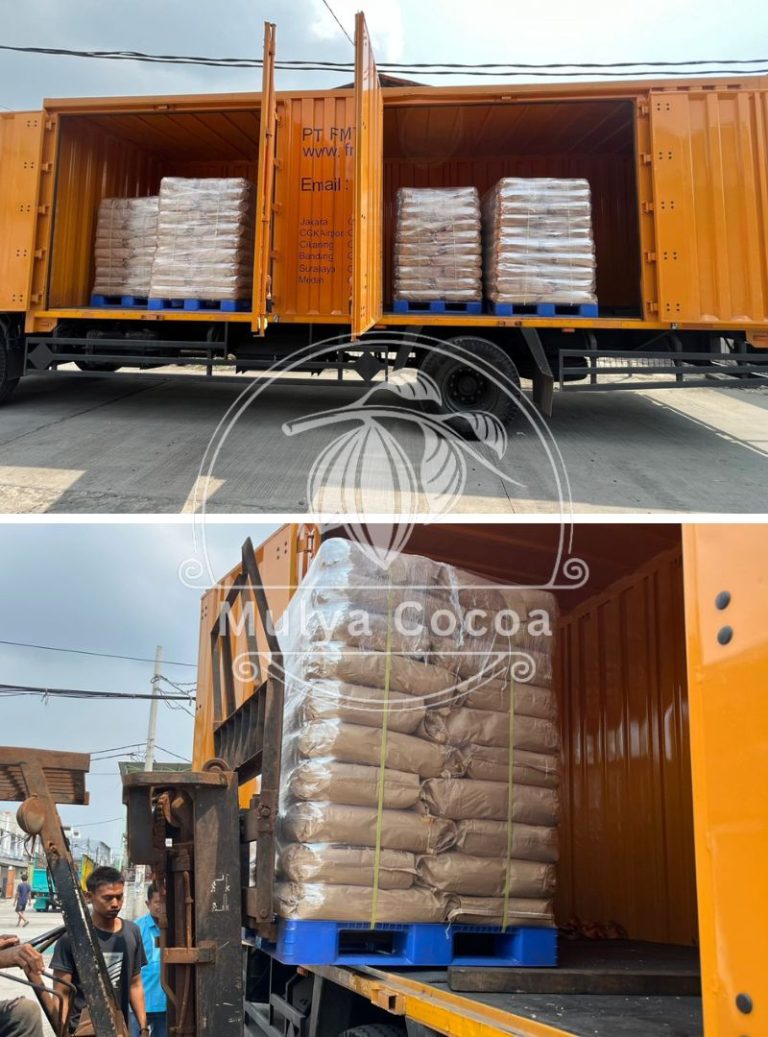 PT. Anugrah Alam Mulya - Global Cocoa Powder Supplier (4)