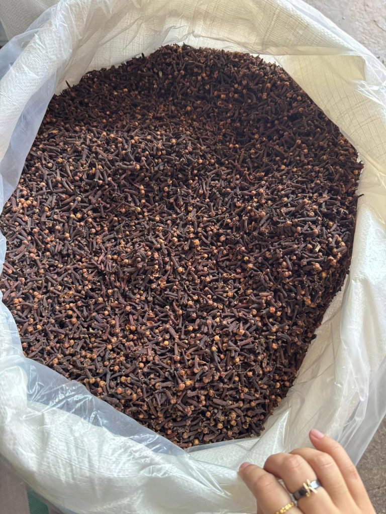 Cloves Supplier - PT Anugrah Alam Mulya